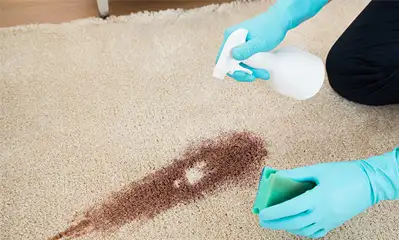 Détachage de tapis 75